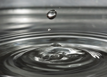 Gedanken zum ‚Wasserbewußtsein‘