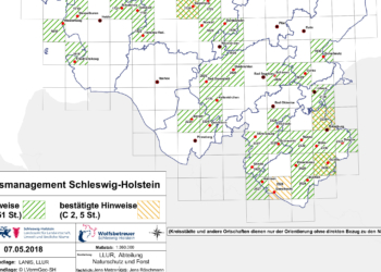 Weiterer Wolfsnachweis im Herzogtum Lauenburg