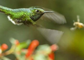 ‚Unsere Erde 2‘ am Doku-Dienstag