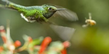 ‚Unsere Erde 2‘ am Doku-Dienstag