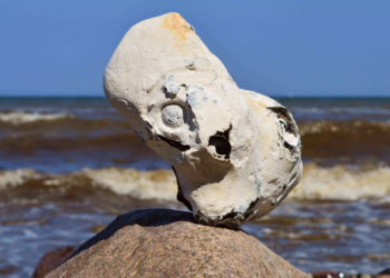 GeoPark Exkursion zu den Schätzen am Ostseestrand