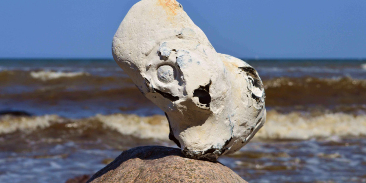 GeoPark Exkursion zu den Schätzen am Ostseestrand