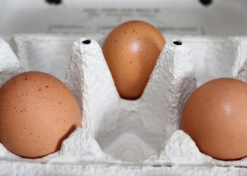 Verbraucherschutzministerium zu Fipronil-belasteten Eiern