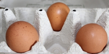 Verbraucherschutzministerium zu Fipronil-belasteten Eiern