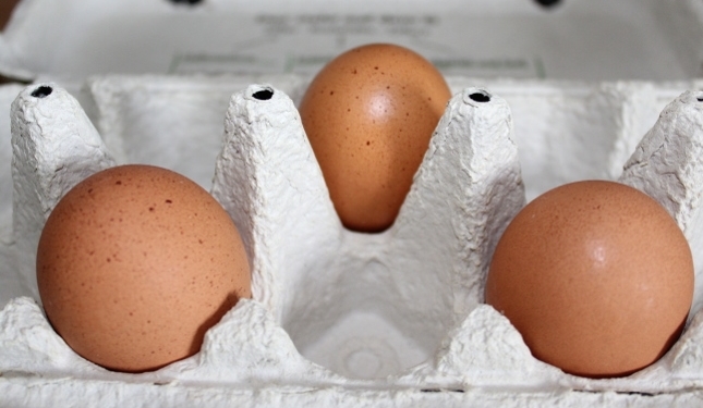 Verbraucherschutzministerium zu Fipronil-belasteten Eiern