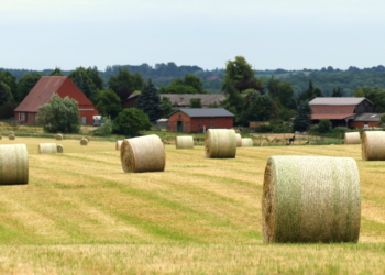 Wie bestellt und nicht abgeholt