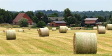 Wie bestellt und nicht abgeholt