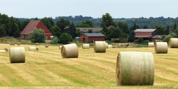 Wie bestellt und nicht abgeholt