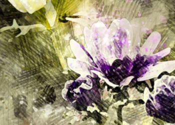 Offener Kunstgarten in Mölln