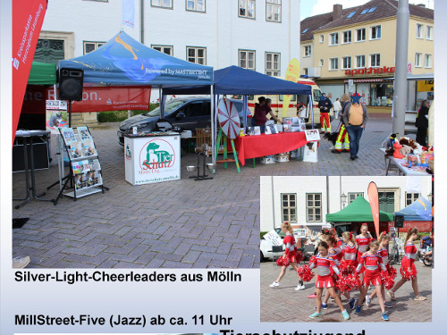 Tierschutz-Festival in Ratzeburg