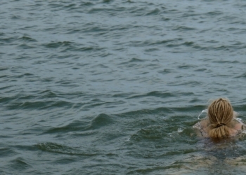 Gesundheitsamt warnt vor Blaualgen im Ratzeburger See