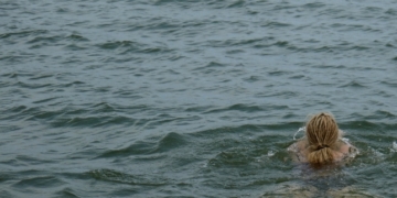 Gesundheitsamt warnt vor Blaualgen im Ratzeburger See