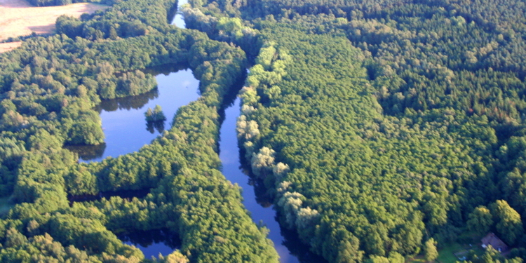 Wirtschaftsregion Herzogtum Lauenburg