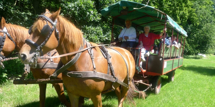 Harmonie der Gegensätze