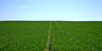 Kauf- und Pachtpreisspiegel für Schleswig-Holstein veröffentlicht