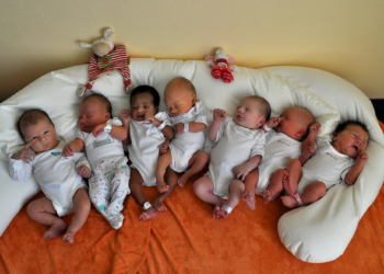 Acht Babys an einem Tag!