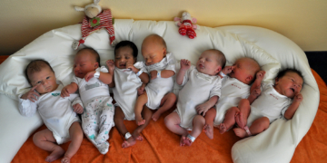 Acht Babys an einem Tag!