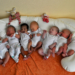 Acht Babys an einem Tag!