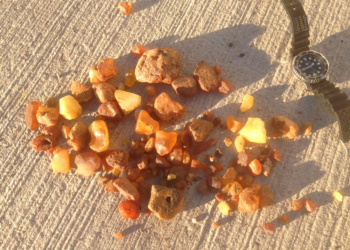 GeoPark Exkursionen – Steine und Meer