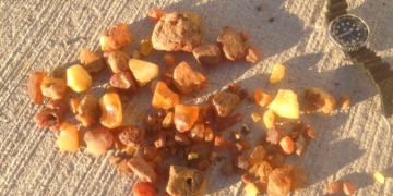 GeoPark Exkursionen – Steine und Meer