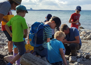 Steine für Kids – das GeoPark Ferienprogramm für die Metropolregion