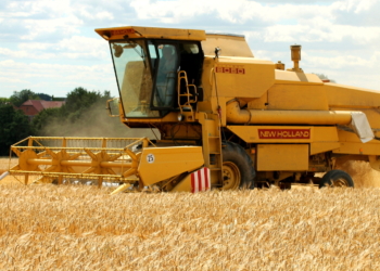 Auf den Mäher, fertig, los!