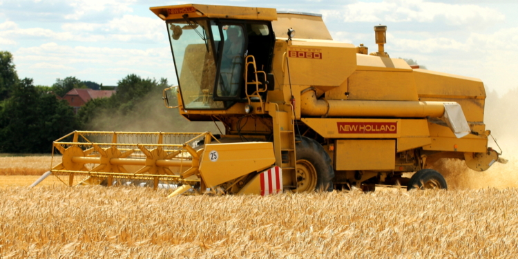 Auf den Mäher, fertig, los!