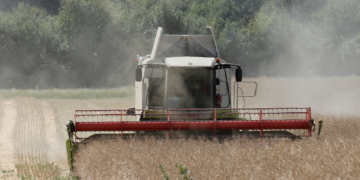 Frühes Erntedank in Behlendorf