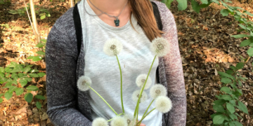 Schritt für Schritt zum Ziel