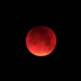 Totale Mondfinsternis in Sierksrade