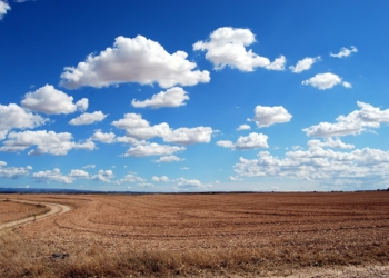 EU-Kommission gewährt Landwirten zusätzliche Hilfe wegen Dürre