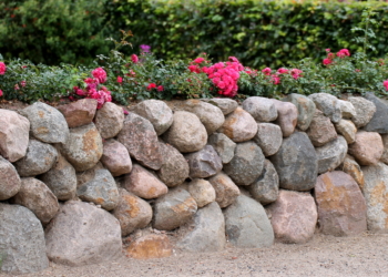 Lankau hat seinen ‚Friesenwall‘