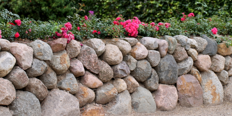 Lankau hat seinen ‚Friesenwall‘