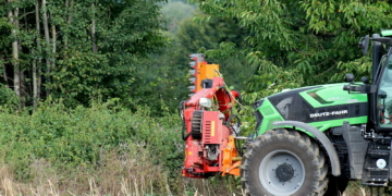 Knicks bekommen einen ‚Feinschliff‘