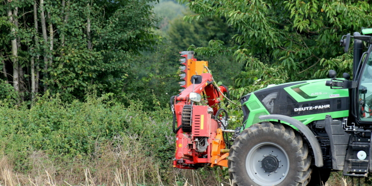Knicks bekommen einen ‚Feinschliff‘