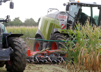 In Giesensdorf startet die Maisernte