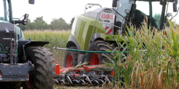 In Giesensdorf startet die Maisernte