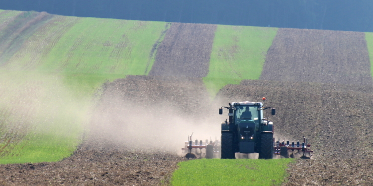 Das zweite ‚Schwarz machen‘