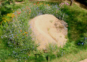 Insektenburg im Vorgarten