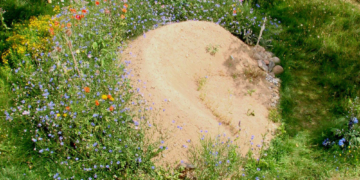 Insektenburg im Vorgarten