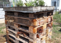 Insektenhotel im Tierheim Roggendorf