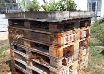 Insektenhotel im Tierheim Roggendorf