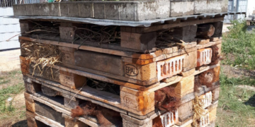 Insektenhotel im Tierheim Roggendorf