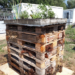 Insektenhotel im Tierheim Roggendorf