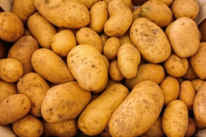 Kartoffeln02
