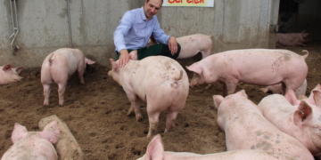 Tag des ‚Seeluft-Schweins‘ in Buchholz