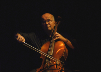 ‚Das Jahr des Cellos‘