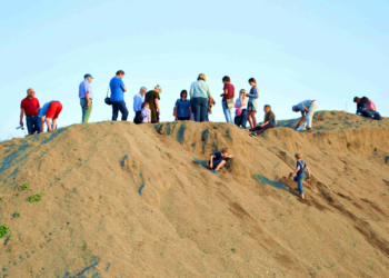 GeoPark: Steine der Urzeit – Geologische Exkursionen am Wochenende