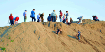 GeoPark: Steine der Urzeit – Geologische Exkursionen am Wochenende