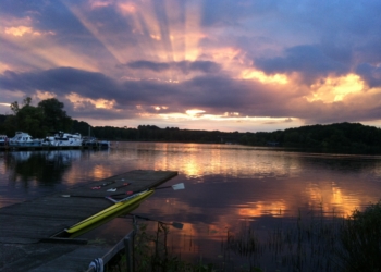 Sommerfest der Anrainervereine rund um den Ziegelsee